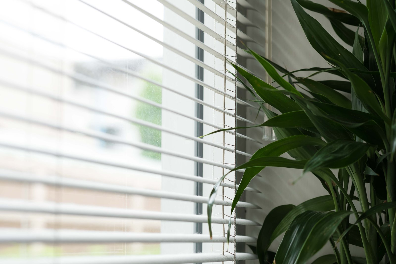 contoh gambar venetian blind atau tirai aluminium